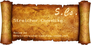 Streicher Csendike névjegykártya